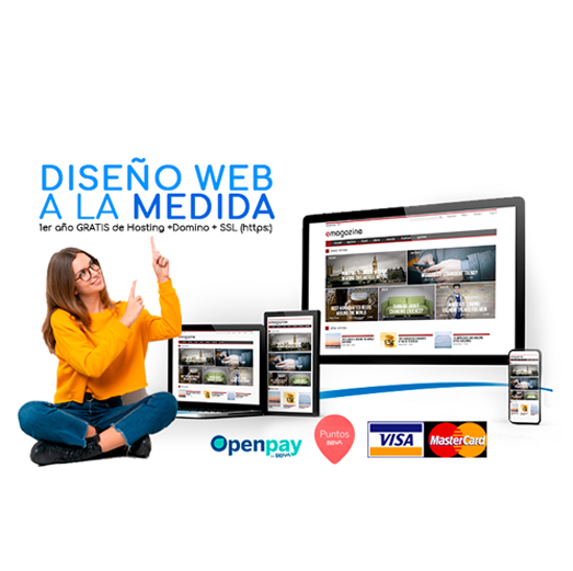 diseno web para empresas en mexico woopa design