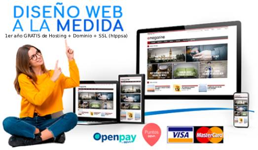 diseño web para empresa